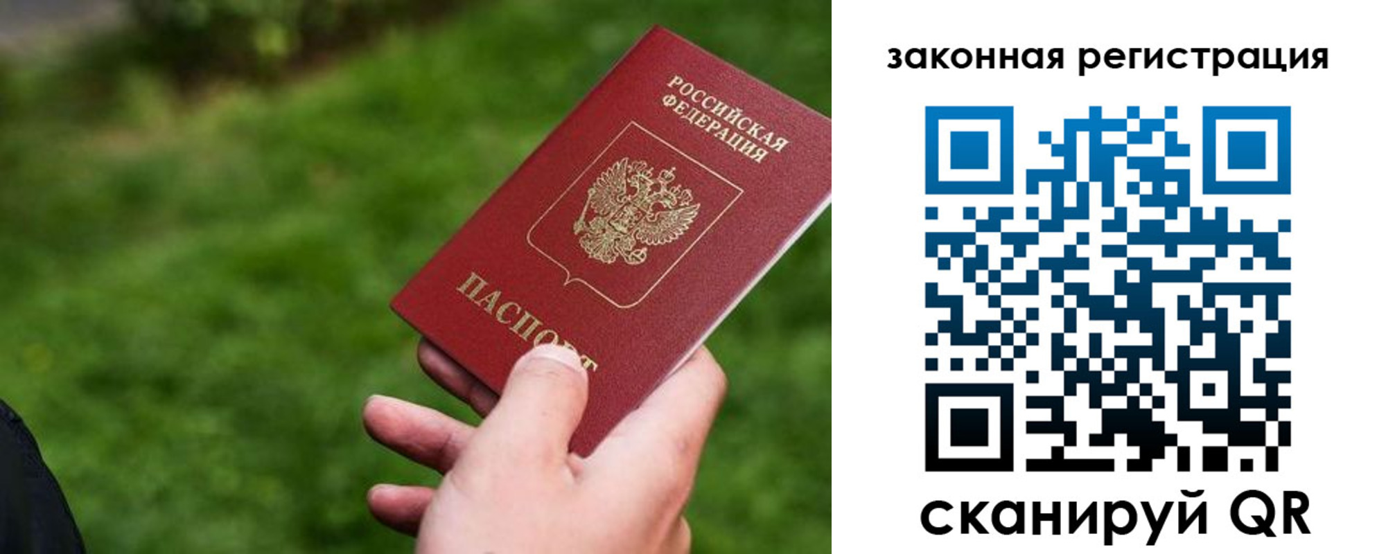 прописка законно в Курчалом